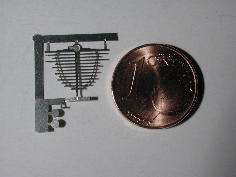 Spinne des B�ssing-NAG von