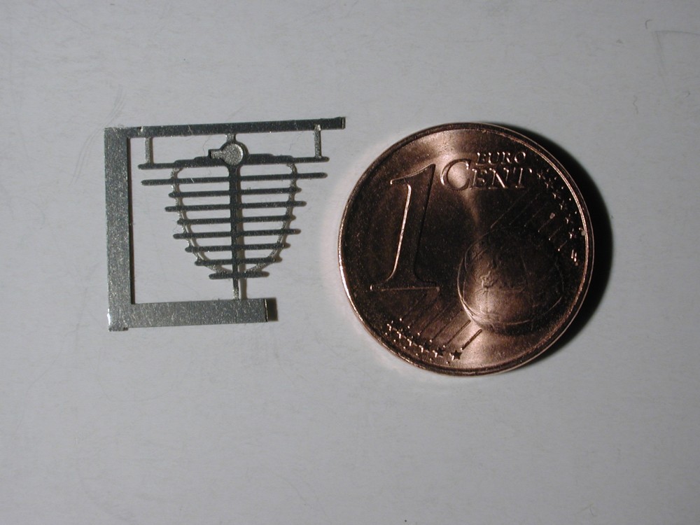 Spinne des B�ssing-NAG von